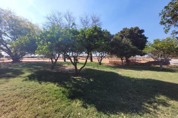 Farm for sale in Tom Burke, Limpopo, South Africa 

•	437 hectares crop farm
•	13 equipped boreholes
•	Crops already planted: ...