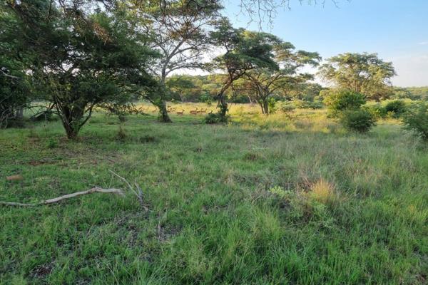 Farm with Residential and Agricultural Features, Excellent Wildlife, and Natural Beauty
This 234-hectare farm is enclosed by a ...