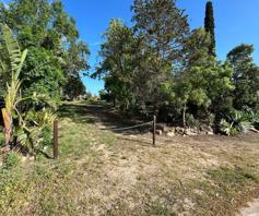 Vacant Land / Plot for sale in Bonnievale