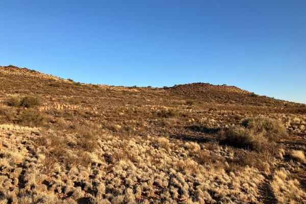 Baie mooi gemengde gras en bossieveld Karooplaas in die Vosburg/Prieska omgewing. Geskik vir kleinveeboerdery of ekotoerisme met sy wye ...