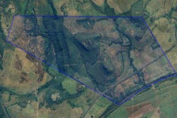 Situated just outside Empangeni, this expansive 460-hectare farm offers vast potential for agricultural development. With 272 hectares ...