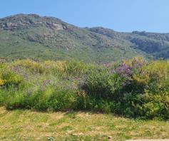 Vacant Land / Plot for sale in Piketberg