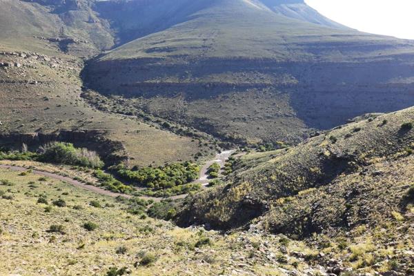 Lifestyle farm in the Nuweveld Mountains.
Your options for this lifestyle farm are farming, biking, hiking, hunting or a game ...