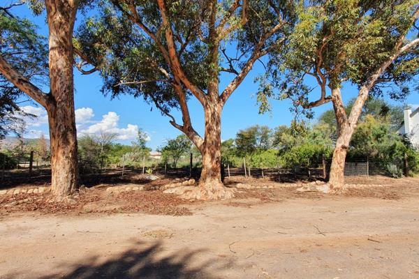 A large 3400 sqm un serviced stand in the heart of the beautiful clean dorpie of Steytlerville.

Large stand with some trees , ideal ...