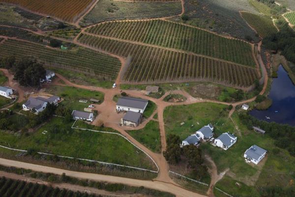 Bot River, Western Cape- Farm For Sale by Auction.

Well-Developed, water-rich mixed-use farm, 871 Ha, as going concern.

Auction: ...