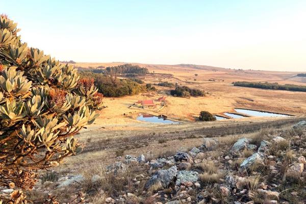 For Sale: Crimson Creek Farm Dullstroom

Location: Situated  6 km from the town of Dullstroom-Emnotweni  Mpumalanga along Tonteldoos ...