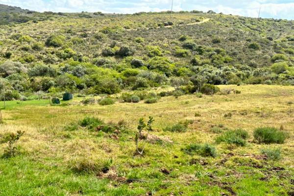 Experience the beauty and calmness of nature on this 1561m2 piece of land in a Wildlife Estate that will give you all the reasons to ...