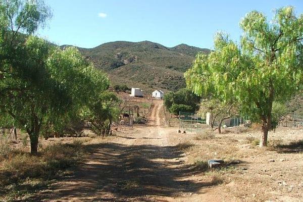 Presenting an exceptional opportunity, this expansive 501 Ha farm and private nature reserve, ideally situated just 8km from Barrydale ...