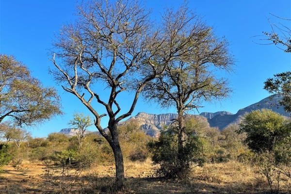 Discover Your Piece of Paradise at Canyon Reserve!
Canyon Reserve is a stunning 460-hectare private game reserve nestled at the base of ...