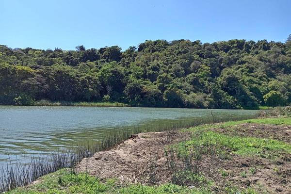 Located near the uMzimkhulu River and Spillers Wharf, this 1.6-hectare stand offers versatile potential. It is currently being used for ...