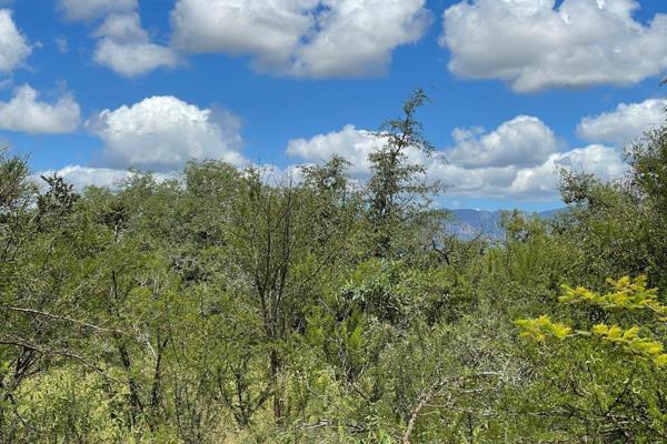 Magnificent view and big trees. Zandspruit offers secure living on a Bush andamp; Aero Estate. The 650 ha wilderness area will provide ...