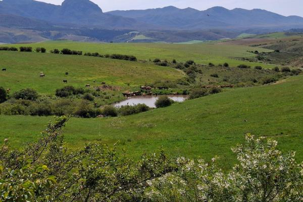 Sole mandate.
This 617 Ha grain and livestock farm is situated in a beautiful valley 7 km from Heidelberg.  It&#39;s near the Langeberg ...