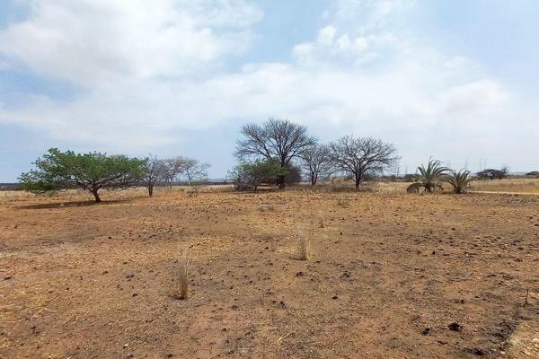 Discover a rare find: 23.4 hectares of prime vacant farmland for sale in the tranquil Doornbult area, Polokwane. This expansive ...