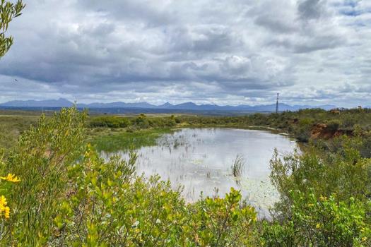 Farm for sale in Mossel Bay Rural