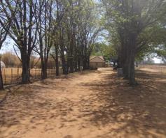 Farm for sale in Witfontein