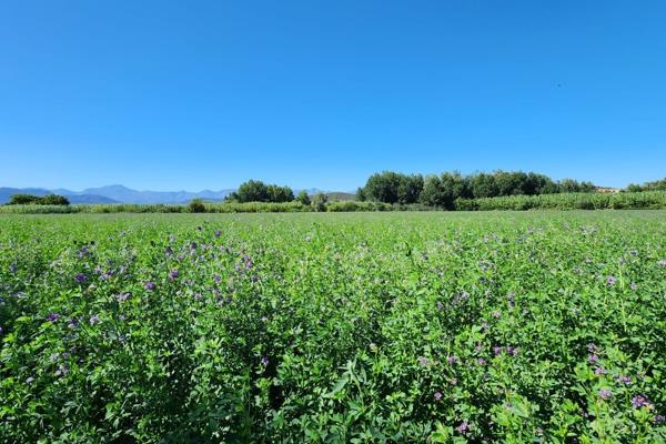 Discover this serene 5-hectare lifestyle farm, perfect for those seeking a tranquil rural retreat in a highly secure and desirable ...