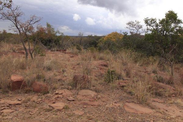 This 1,8503ha stand is situated in the 390ha Wildlife Estate of Leopards Rock which is the BUSHVELD of bushvelds. 
It is so serene ...