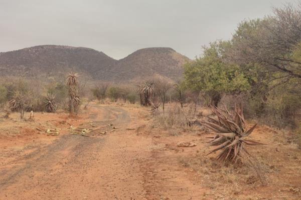 This 21.4-hectare smallholding is situated just 28km from Rustenburg, with only 10km of dirt road. The property features scenic ...