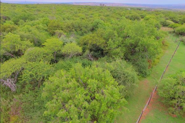 Nestled in the heart of nature, this extraordinary 9.98-hectare parcel of land offers a rare opportunity to own a piece of unspoiled ...