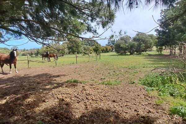 9995 square meter small holding located 
in the tranquil &quot;Country Like&quot; peaceful surroundings
of the popular Firlands Estate. ...