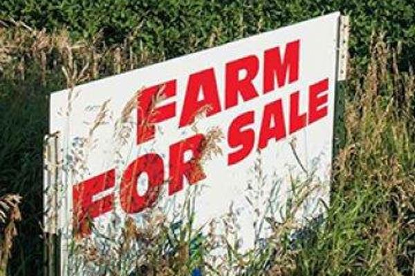 100 hectors farm for sale in Hopefield.
Serviced and fully enclosed ...