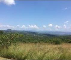 Vacant Land / Plot for sale in Wild Fig Country Estate