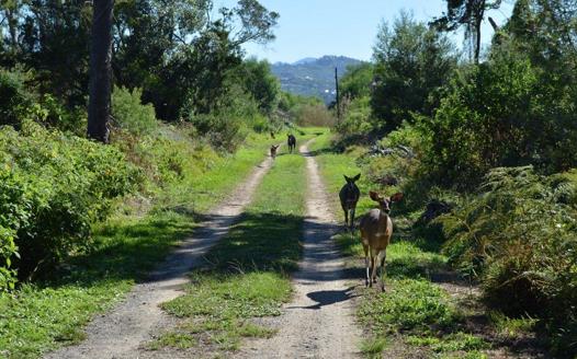 Farm for sale in Brenton On Lake