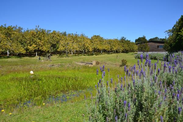 This Lifestyle Farm could be your Home.

 This Investement offers a 5 bedroom home, nestled in the Harkerville forest. ...