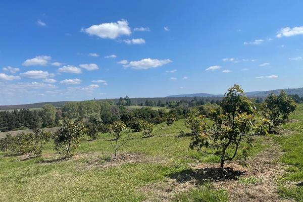 Discover an exceptional investment opportunity in the heart of Richmond! This expansive 7.3-hectare working chicken farm is perfectly ...