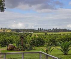 Farm for sale in Paddock