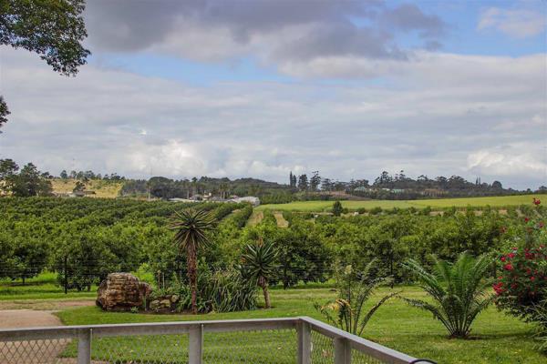 This 13 ha small holding is planted with 10 ha of Macadamia trees. 1200 trees 10 years old and 1800 trees 5 years old. Varieties of ...