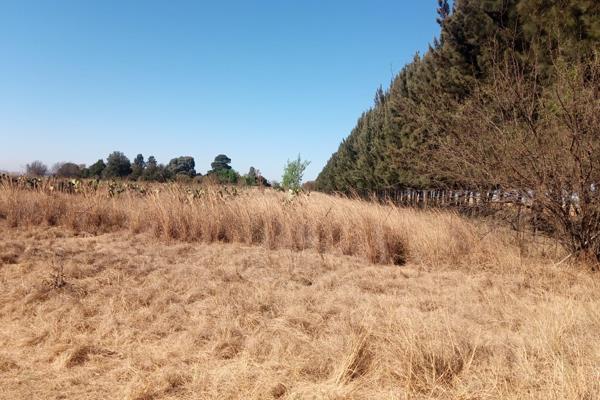 Looking for a farm with endless possibilities?

Look no further than this stunning 21HA farm for sale, located between Bapsfontein ...