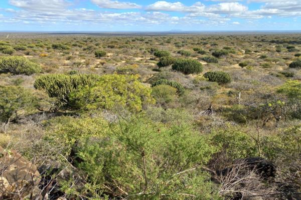 This 957-hectare farm in the Bandelierkop area of Limpopo offers exceptional grazing, ideal for any farmer interested in cattle or game ...