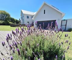 House for sale in Kraaibosch Country Estate