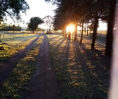 Farm for sale in Bothas Geluk