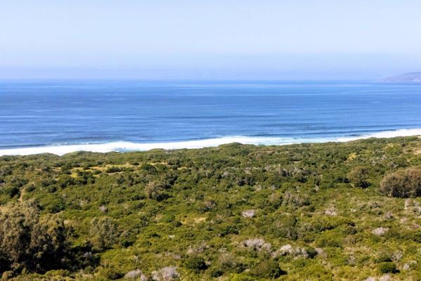 An extraordinary opportunity to own a pristine beachfront estate in the sought-after Plettenberg Bay area. This 8 hectare property ...