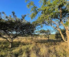 Vacant Land / Plot for sale in Wild Fig Country Estate