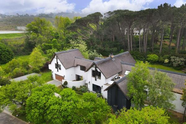 A grand entrance opens into this beautifully renovated family home with double volume ceilings.

This newly renovated 650sqm home with ...