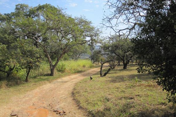 Discover the charm and potential of this unique 24.6-hectare smallholding, located just under 2 km from the Technicon on the Barberton ...