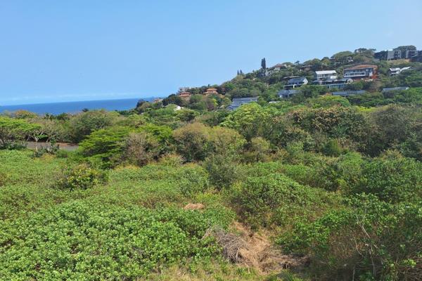 This 1545m2 slice of glutty sloping land has wonderful forest and sea views.

Build your dream house and enjoy this boutique secure ...