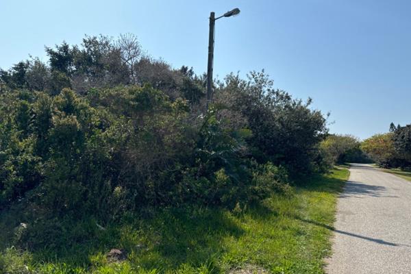 A level stand with plenty of bush and indigenous trees awaits. Easy beach access at the ...