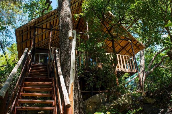 The treehouse is available from 1 January 2025 to 31 March 2025 and from 1 September 2025 to 31 November 2025.

Furnished rental. Not ...