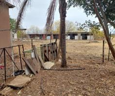 Farm for sale in Lusthof