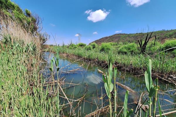 Beautifull 24,3 Ha farm for sale.
Farm borders on the swart spruit.
500 Pecan nut trees ...