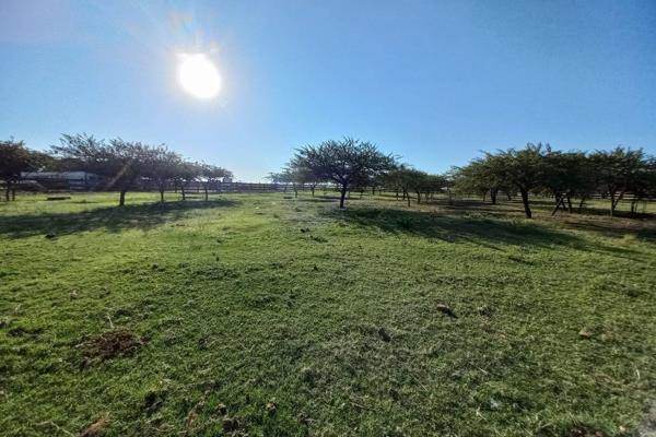 This farm, located conveniently close to Empangeni town, offers a spacious 3-bedroom house. The main bedroom features an en-suite ...