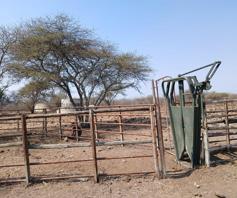 Farm for sale in Makhado