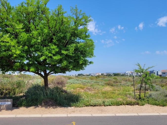 Vacant Land / Plot for Sale in Blue Lagoon