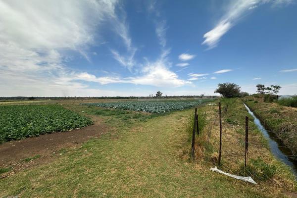 Small Holding rich in water!

37.8 hectares situated just outside of Klerksdorp.

Multiple streams of income, ready to be taken over ...