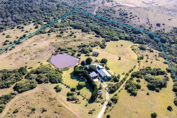 Welcome to Riverside Farm, an exclusive smallholding situated on the tranquil banks of the Mkantsi River in the sought-after Kidd’s ...