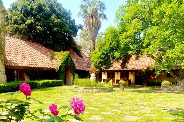 This unique Boutique Hotel is situated in the tranquil Lombardy Estate, Pretoria East. With its Tuscan-inspired architecture and Italian countryside ambiance, this property brings a touch of Italy to South Africa&#39;s capital. The hotel offers a peaceful retreat, surrounded ...